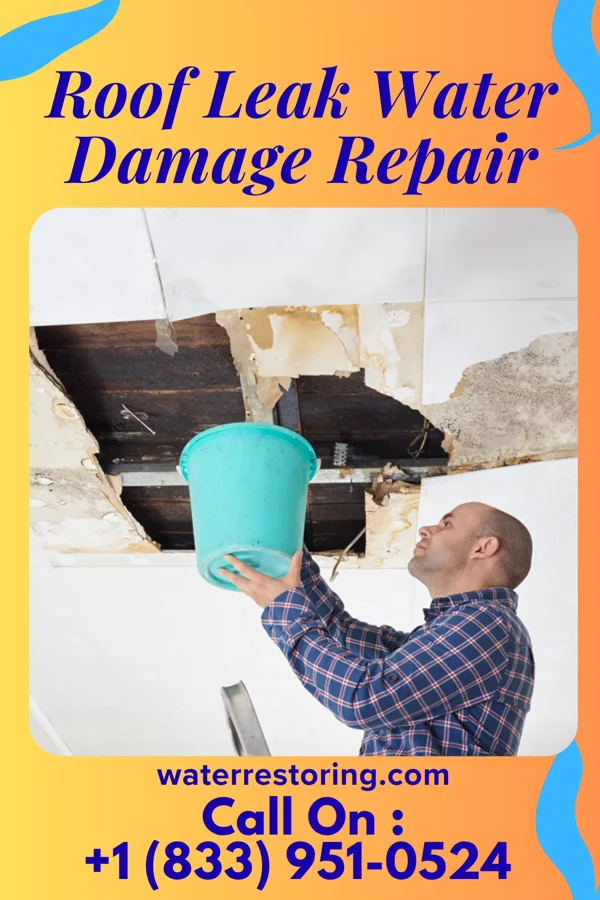 Roof Leak Water Damage Repair in La Feria North, TX